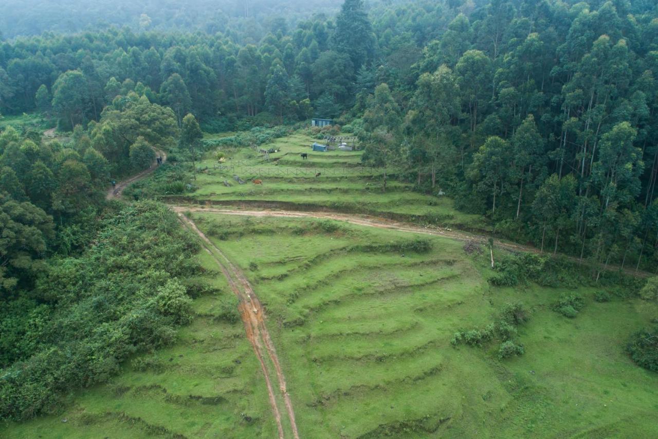 Anandavana Jungle Living By Lexstays - Kanthalloor-Marayur Екстер'єр фото